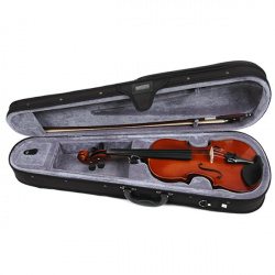 violi valencia1