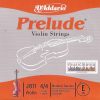 Prelude Daddario