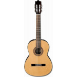 20201019113436_ibanez_g_100