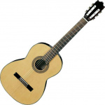 20201019113436_ibanez_g_100