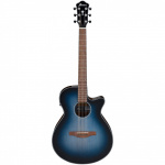 aeg50-ibh-1000×1000