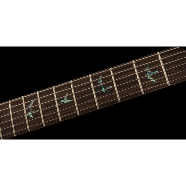 Prs-Guitars-SE-Pauls-Guitar-Black-Gold-Burst-with-Birds-Inlays