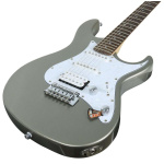 G250 SVM 1